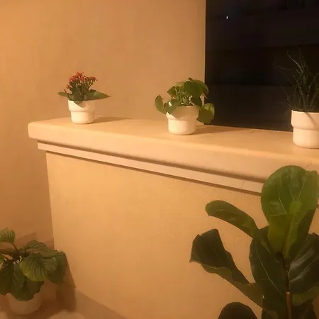 Romeo 拉古萨的码头