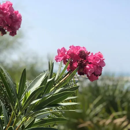Romeo Apartamento Marina di Ragusa